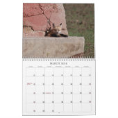 Fox 2011 kalender (Mar 2026)