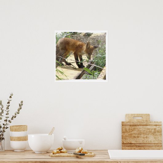 Fox 2 poster (Keuken)