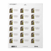 Fox-adres Etiket (Full Sheet)