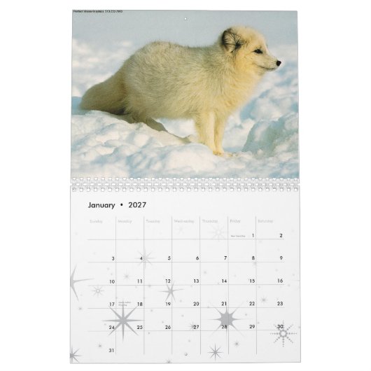 Fox agenda 2010 kalender (Jan 2027)