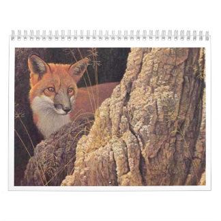 Fox agenda 2010 kalender