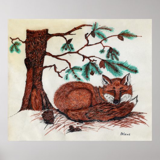 FOX Beneath Pine Bough Poster (Voorkant)
