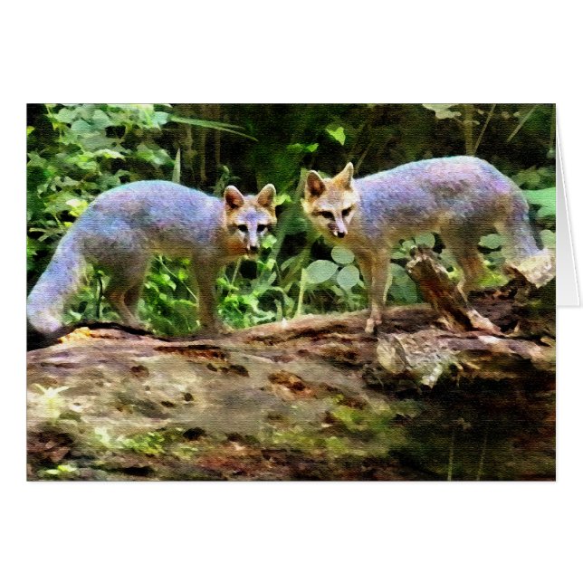 FOX BOOKENDS (Voorkant Horizontaal)