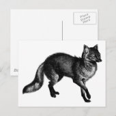  Fox Briefkaart (Voorkant / Achterkant)