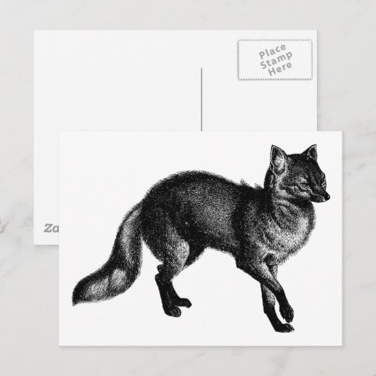 Fox Briefkaart (Voorkant / Achterkant)