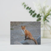 Fox Briefkaart (Staand voorkant)