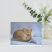 Fox briefkaart (Staand voorkant)