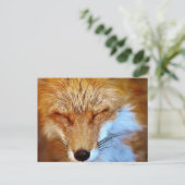Fox Briefkaart (Staand voorkant)