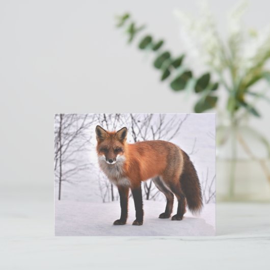 Fox Briefkaart (Staand voorkant)