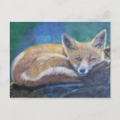 Fox Briefkaart (Voorkant)