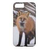 Fox Case-Mate iPhone Case (Achterkant)
