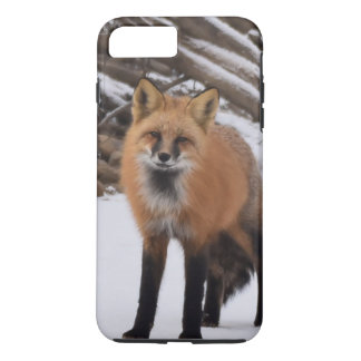 Fox Case-Mate iPhone Case