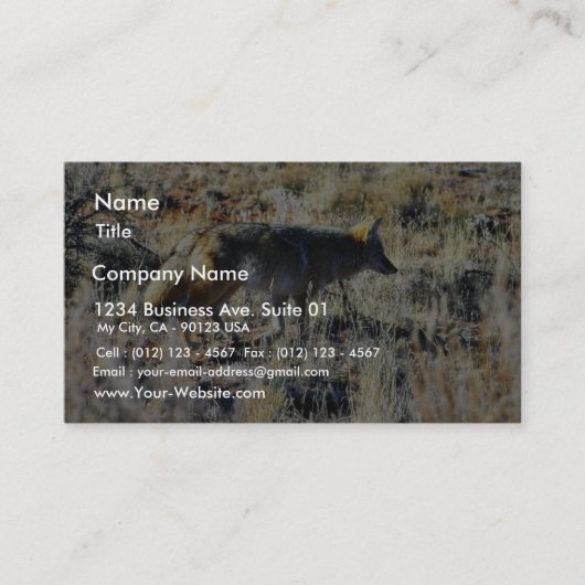 Fox coyotes Wild Anilmal in Field Visitekaartje (Voorkant)