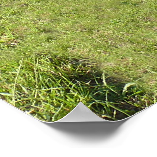 Fox Creek Arch Bridge uit 1910 Poster (Hoek)