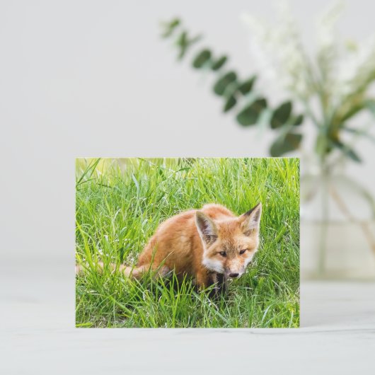 Fox Cub Briefkaart (Staand voorkant)