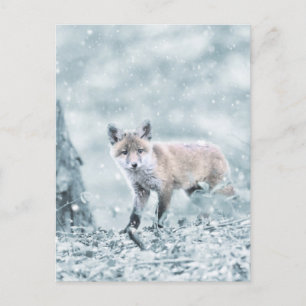 Fox Cub in de sneeuw Briefkaart