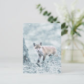 Fox Cub in de sneeuw Briefkaart (Staand voorkant)