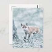 Fox Cub in de sneeuw Briefkaart (Voorkant / Achterkant)