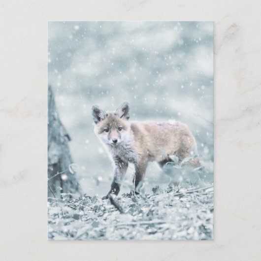 Fox Cub in de sneeuw Briefkaart (Voorkant)