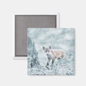 Fox Cub in de sneeuw Magneet (Voorkant / Achterkant)