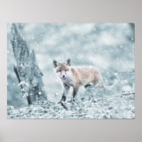 Fox Cub in de sneeuw
