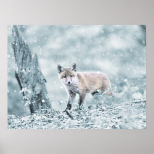 Fox Cub in de sneeuw Poster
