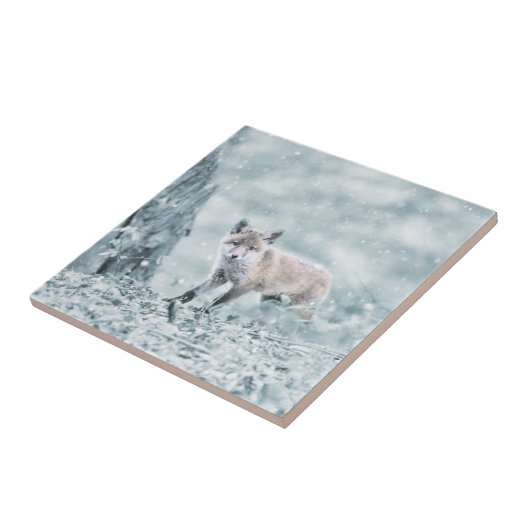 Fox Cub in de sneeuw Tegeltje (Zijkant)