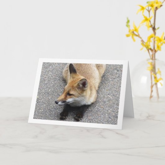 Fox Cub Liggend op Straatportret Kaart (Gele Bloem)