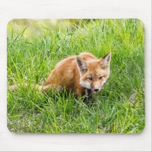 Fox Cub Muismat