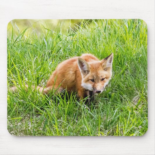 Fox Cub Muismat (Voorkant)