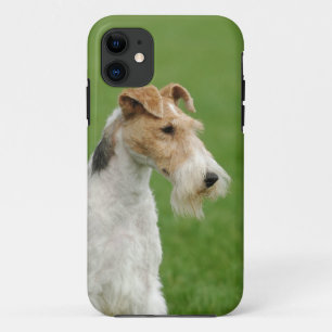 Fox dooder iPhone 11 hoesje