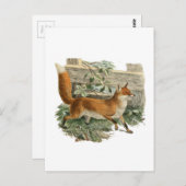 Fox door een omheining briefkaart (Voorkant / Achterkant)