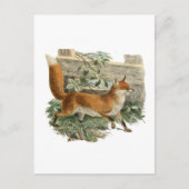 Fox door een omheining briefkaart (Voorkant)