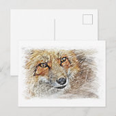 Fox Drawing Briefkaart (Voorkant / Achterkant)