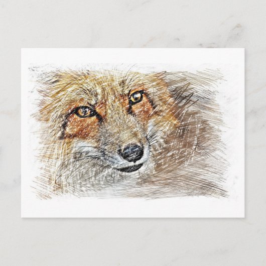 Fox Drawing Briefkaart (Voorkant)