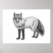 Fox drawing poster (Voorkant)