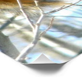 Fox-eekhoornprofiel Perfect Poster (Hoek)