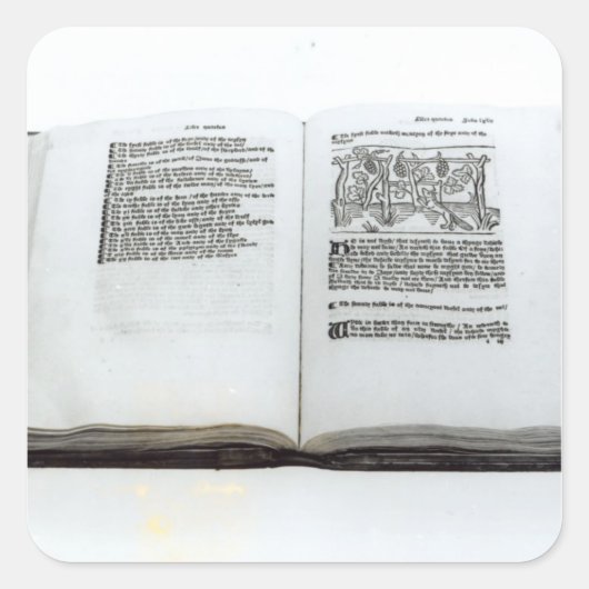 Fox en druiven vierkante sticker (Voorkant)