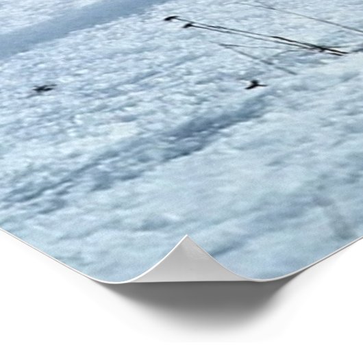 Fox en Friends Poster (Hoek)