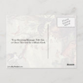 Fox en kat van Frans Snyders Briefkaart (Achterkant)