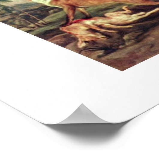 Fox en kat van Frans Snyders Poster (Hoek)