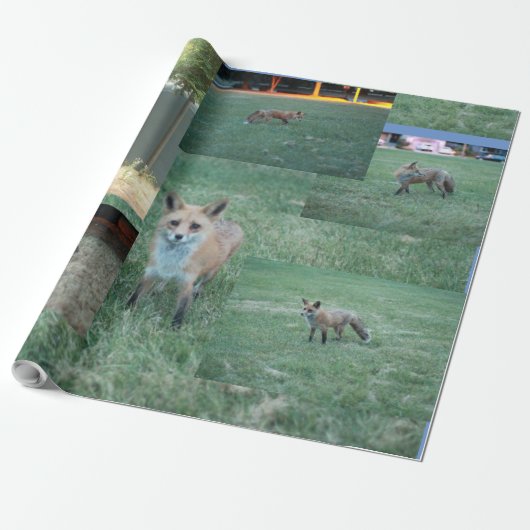 Fox en land met schuur, rode vos cadeaupapier (Uitgerold)