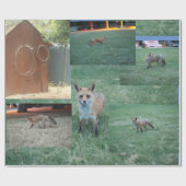 Fox en land met schuur, rode vos cadeaupapier (Vlak)