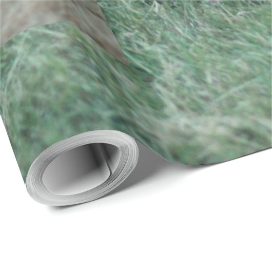 Fox en land met schuur, rode vos cadeaupapier (Rol Hoek)