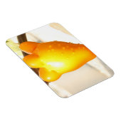 Fox Face Fruit Magneet (Rechterzijde)