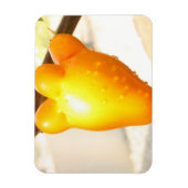 Fox Face Fruit Magneet (Verticaal)