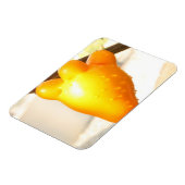 Fox Face Fruit Magneet (Linkerzijde)