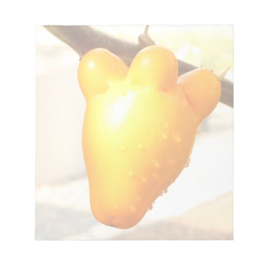 Fox Face Fruit Notitieblok (Voorkant)