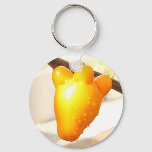Fox Face Fruit Sleutelhanger (Voorkant)