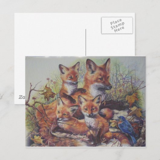 Fox familie briefkaart (Voorkant / Achterkant)